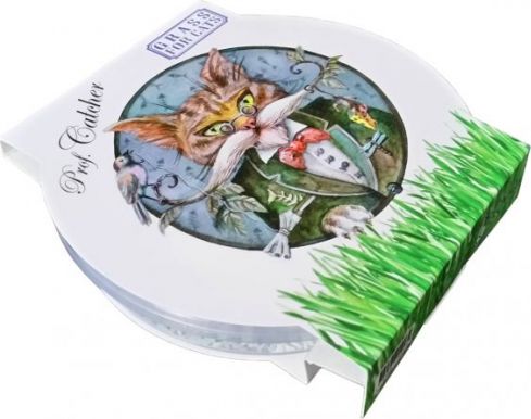 Cather Grass - Žolė katėms