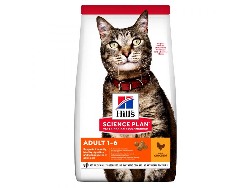HILL'S CAT ADULT CHICKEN 10 kg - saulėgrąžų pašaras su vištiena suaugusiems katėms