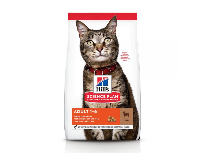 HILL'S CAT ADULT LAMB AND RICE 300G - sausas maisto su jautiena ir ryžiais suaugusiems katėms