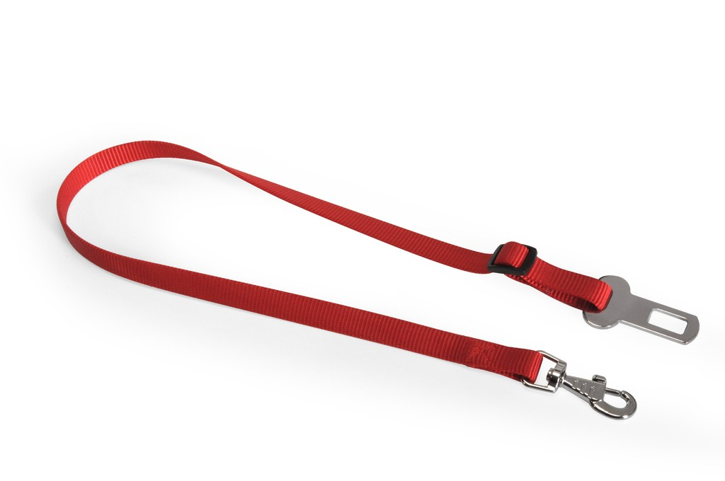 Car Safety Leash 25mm - automobilio saugos diržas, plotis 25mm RAUDONAS