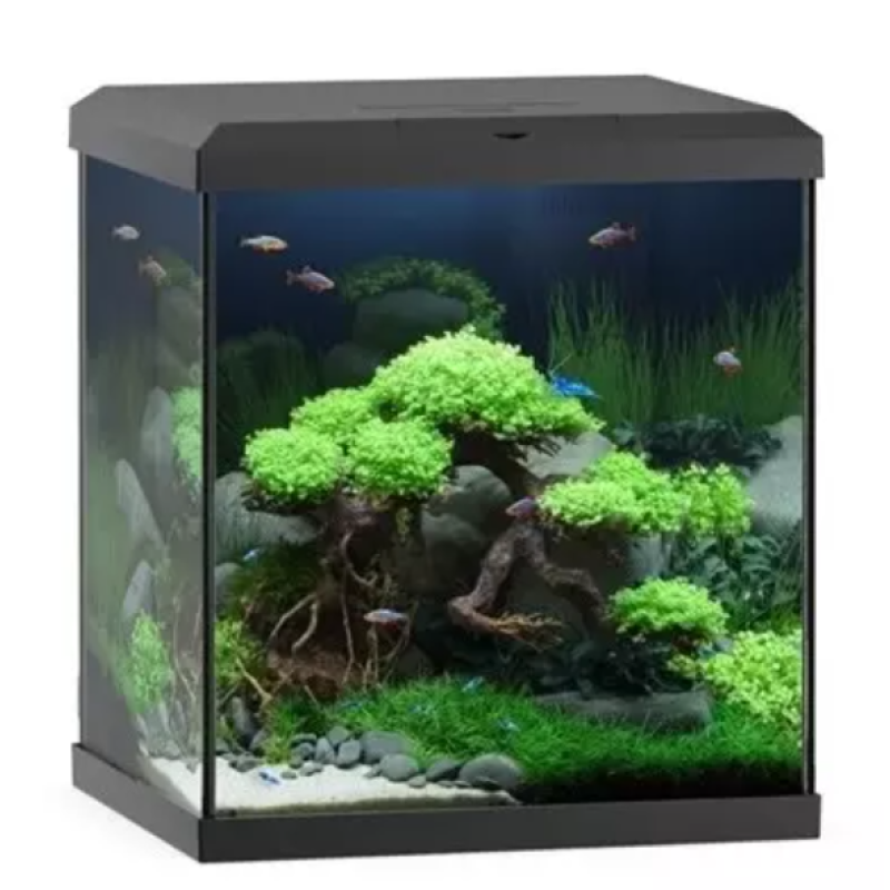Juwel Vio Cube 54 LED Juoda 54L - komplektuotas akvariumas