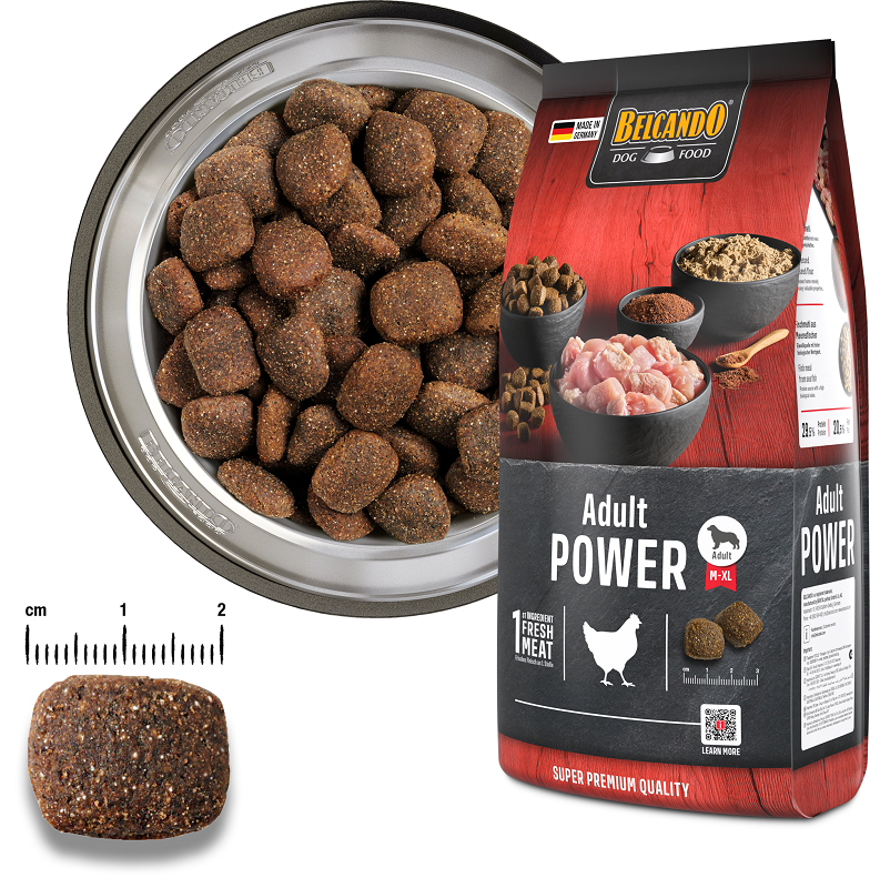 BELCANDO ADULT POWER 12.5KG - SAUSAS MAISTAS SUAUGUSIEMS ŠUNIMS SU AUKŠTU AKTYVUMO LYGIU