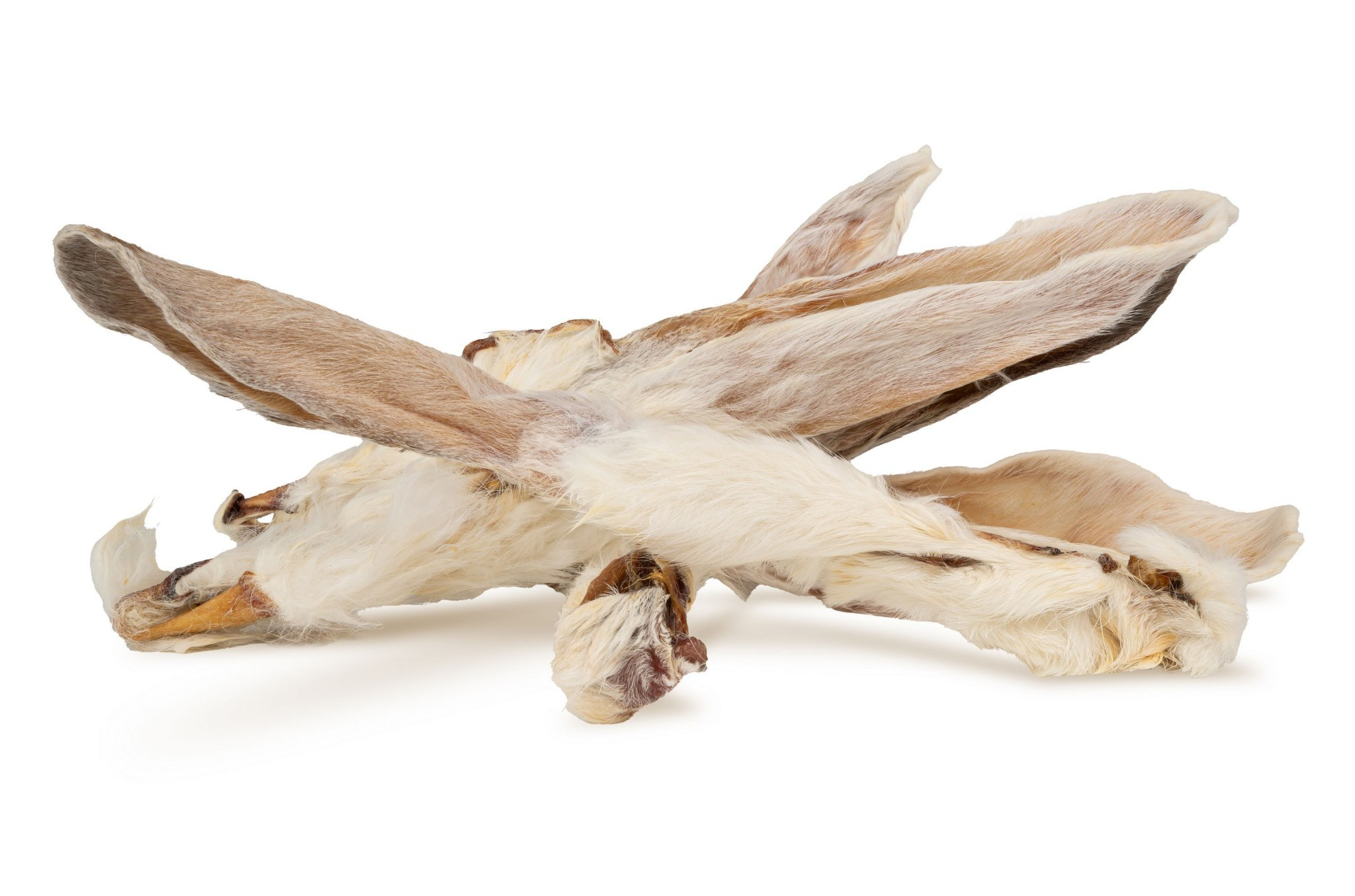 HAU & MIAU šunų užkandis, trušio ausis su kailiu, maždaug 20–25 cm, 1 kg - papildas šunims, džiovintos trušio ausys su plunksnomis.