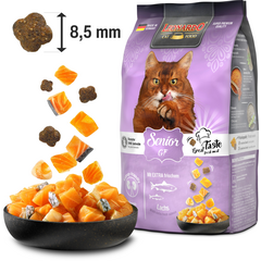 LEONARDO SENIOR GF LAŠIŠA 7.5KG - BEZGRAUDU SAUSOJI MAISTO PRIEMONĖ VYRESNIEMS KATĖMS SU LAŠIŠA