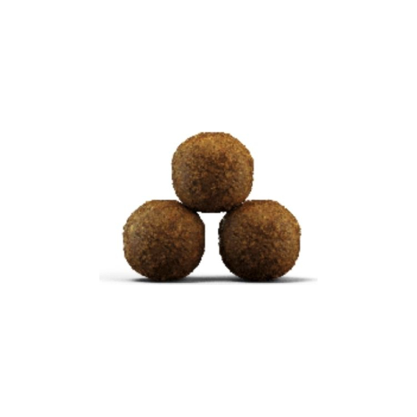 Josera Petfood Josera SP katinams Kitten be grūdų 2 kg, 3 image